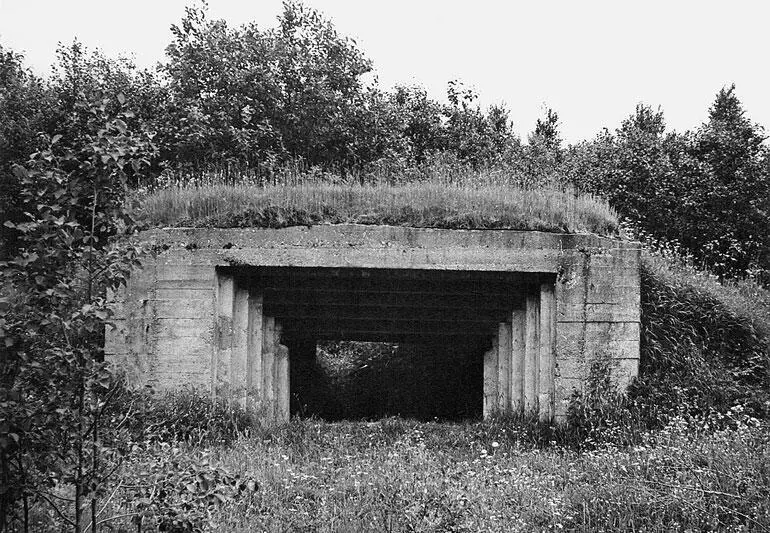 Дот в Оленинском районе Калининской области 1980е гг Дот в Оленинском - фото 5