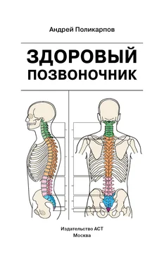 Андрей Поликарпов Здоровый позвоночник