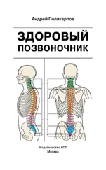 Андрей Поликарпов - Здоровый позвоночник