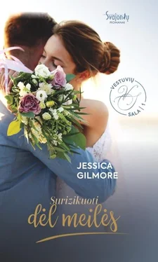 Jessica Gilmore Surizikuoti dėl meilės. Vestuvių sala. 1 knyga обложка книги