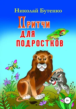 Николай Бутенко Притчи для подростков обложка книги