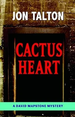 Jon Talton Cactus Heart обложка книги