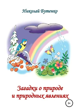 Николай Бутенко Загадки о природе и природных явлениях обложка книги