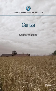 Carlos Vásquez Ceniza обложка книги