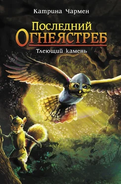 Катрина Чармен Последний огнеястреб. Тлеющий камень обложка книги