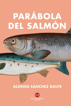 Alonso Sánchez Baute Parábola del salmón обложка книги