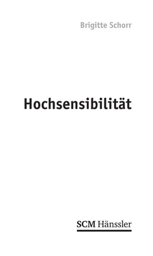 Brigitte Schorr Hochsensibilität обложка книги