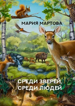 Мария Мартова Среди зверей, среди людей обложка книги