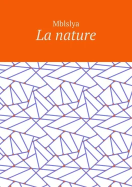 Mblslya La nature обложка книги