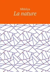 Mblslya - La nature