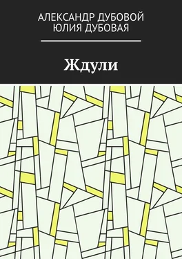 Юлия Дубовая Ждули обложка книги