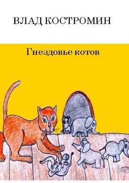 Влад Костромин Гнездовье котов обложка книги