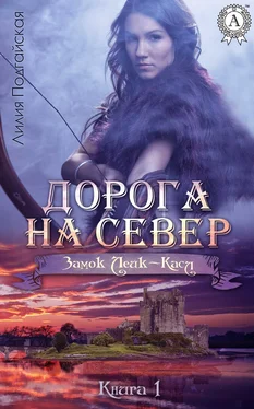 Лилия Подгайская Дорога на Север обложка книги