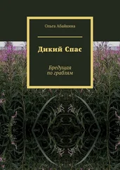 Ольга Абайкина - Дикий Спас. Бредущая по граблям