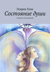 Генрих Гопе - Состояние души. Сборник стихотворений