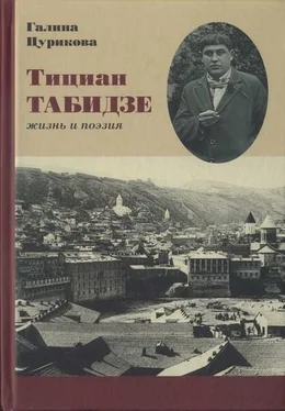 Галина Цурикова Тициан Табидзе: жизнь и поэзия обложка книги