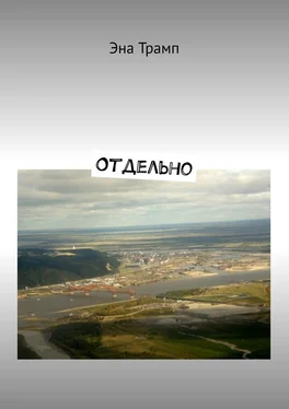 Эна Трамп Отдельно обложка книги