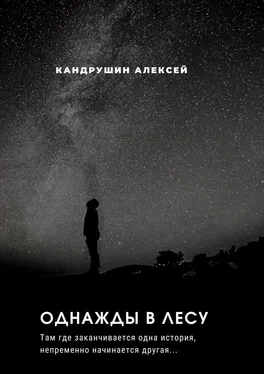 Алексей Кандрушин Однажды в лесу. Там где начинается одна история, непременно начинается другая… обложка книги