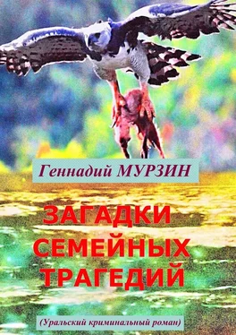 Геннадий Мурзин Загадки семейных трагедий. Уральский криминальный роман обложка книги