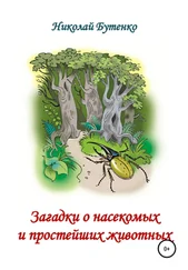 Николай Бутенко - Загадки о насекомых и простейших животных