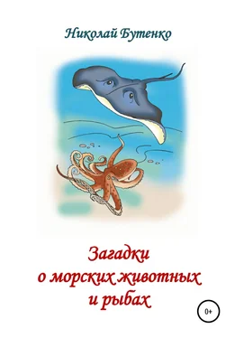 Николай Бутенко Загадки о морских животных и рыбах обложка книги