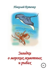 Николай Бутенко - Загадки о морских животных и рыбах