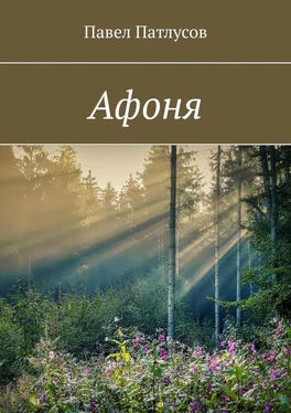 Павел Патлусов Афоня обложка книги