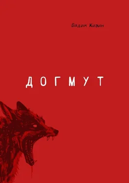 Вадим Кизин Догмут обложка книги