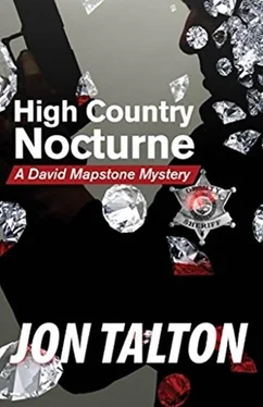 Jon Talton High Country Nocturne обложка книги