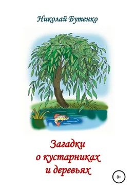 Николай Бутенко Загадки о кустарниках и деревьях обложка книги