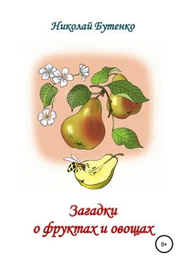 Николай Бутенко Загадки о фруктах и овощах обложка книги