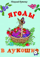 Николай Бутенко - Ягоды в лукошке