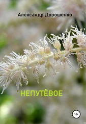 Александр Дорошенко - Непутёвое