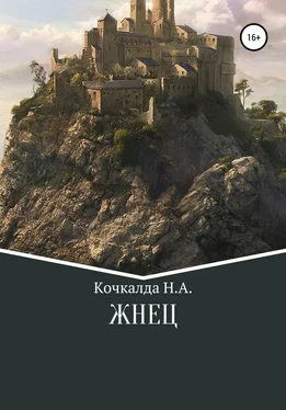 Николай Кочкалда Жнец обложка книги