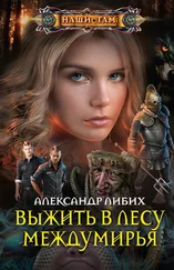 Александр Либих - Выжить в лесу Междумирья