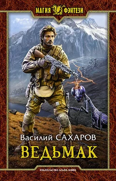 Василий Сахаров Ведьмак обложка книги