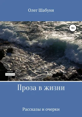 Олег Шабуня Проза в жизни обложка книги