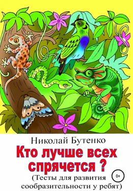 Николай Бутенко Кто лучше всех спрячется обложка книги