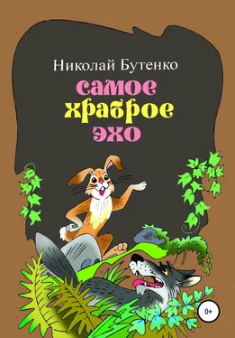 Николай Бутенко Самое храброе эхо обложка книги