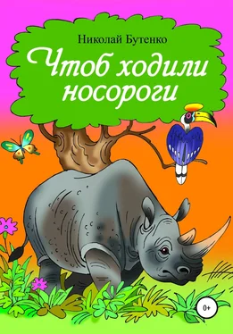 Николай Бутенко Чтоб ходили носороги… обложка книги