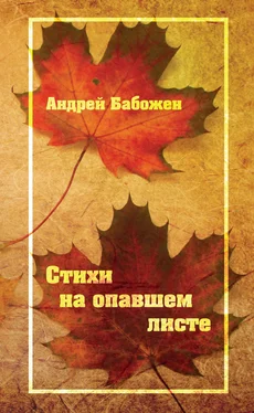 Андрей Бабожен Стихи на опавшем листе обложка книги