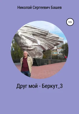 Николай Башев Друг мой – Беркут_3 обложка книги
