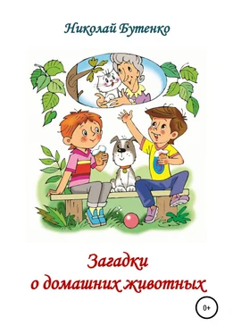 Николай Бутенко Загадки о домашних животных обложка книги