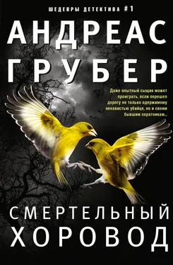 Андреас Грубер Смертельный хоровод обложка книги