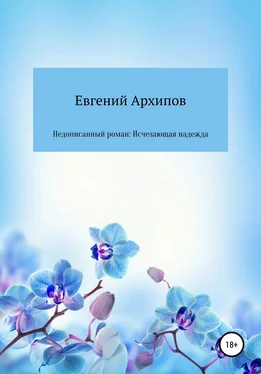 Евгений Архипов Недописанный роман: Исчезающая надежда обложка книги