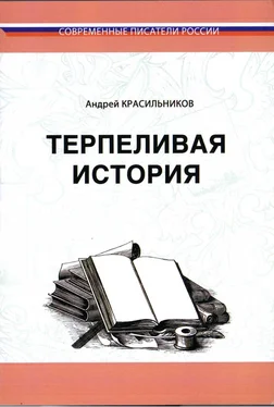 Андрей Красильников Терпеливая история обложка книги