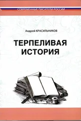 Андрей Красильников - Терпеливая история