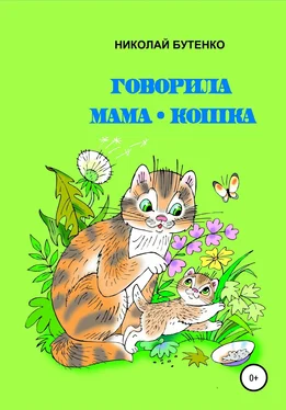 Николай Бутенко Говорила мама-кошка обложка книги