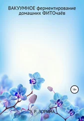 Эмма Зорина - Вакуумное ферментирование домашних фиточаёв