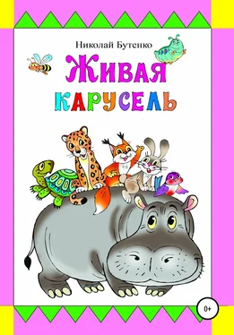 Николай Бутенко Живая карусель обложка книги